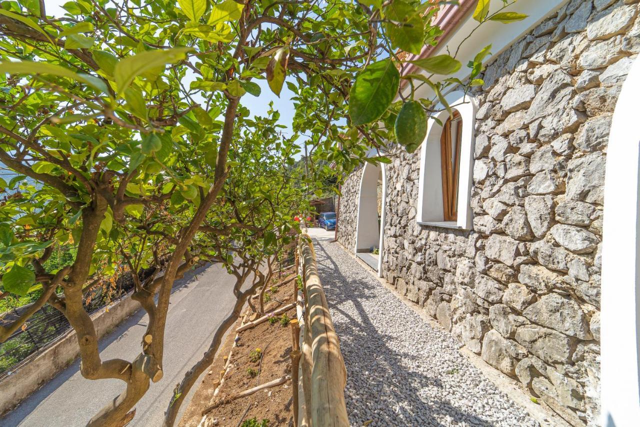 Tra Sole E Limoni Apartments Tramonti Eksteriør billede